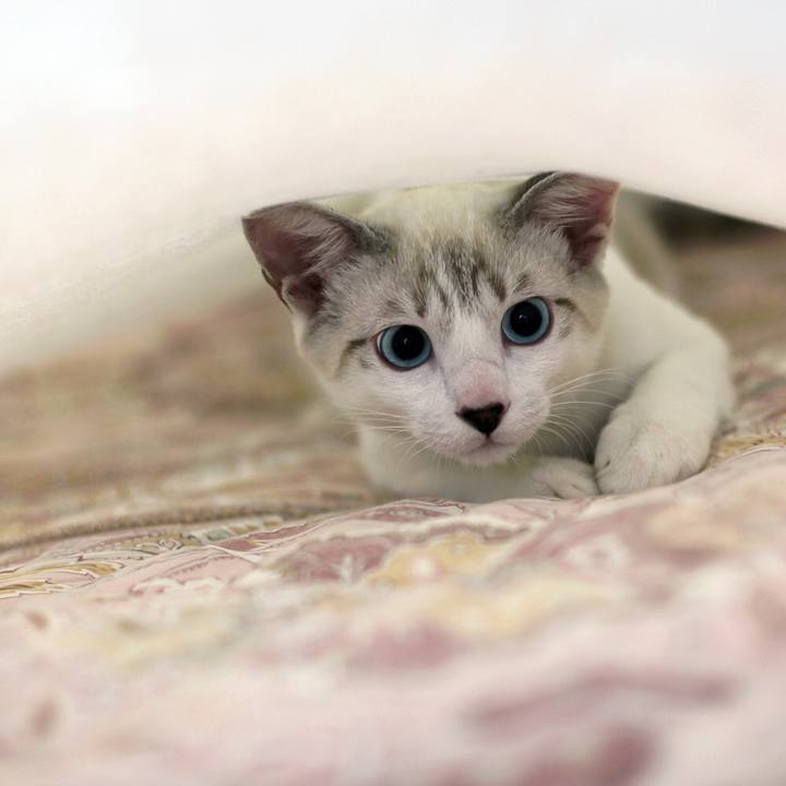 6f947a42 eef2 4877 92c6 996c0ceabd5e 1611796275354