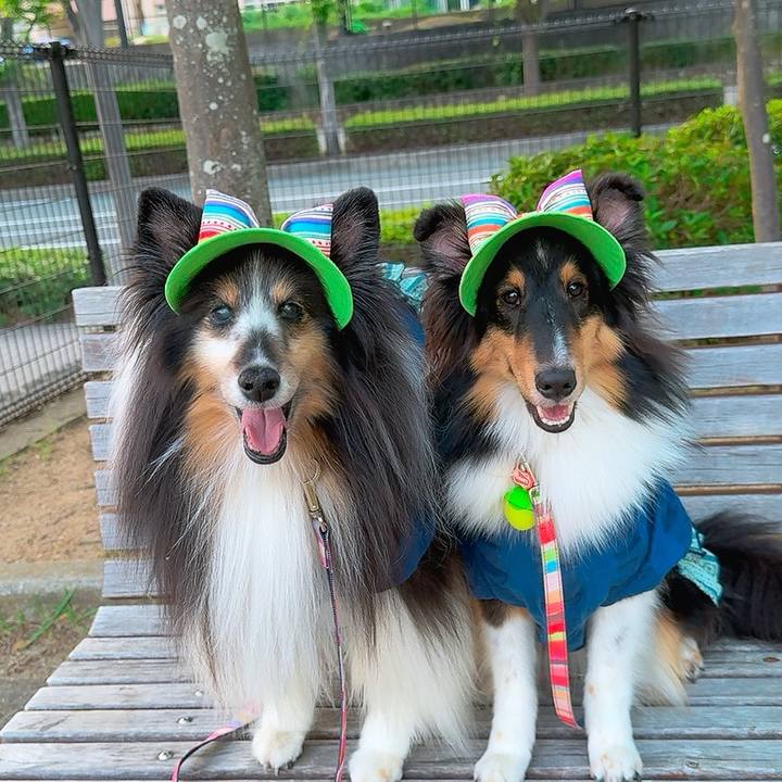 6f949e9d 09ec 454d 9f28 928fd1ec4700 1750358157085