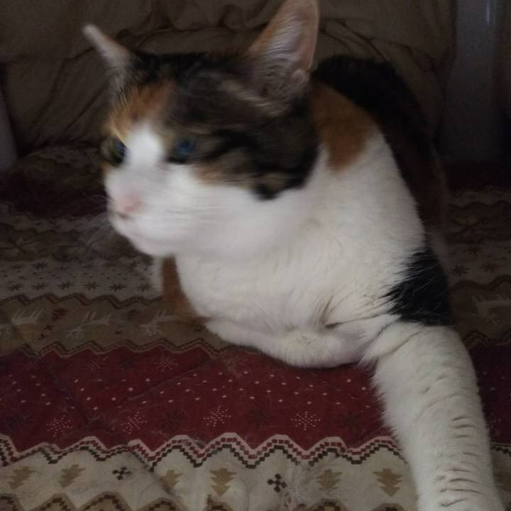 6f94b692 7370 4942 9d98 c97bc263458f 1547156863739