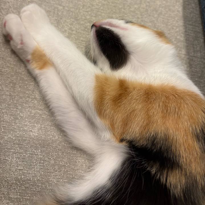 6f94ce96 5f7b 4dbd b27f 875008429cae 1757324823168