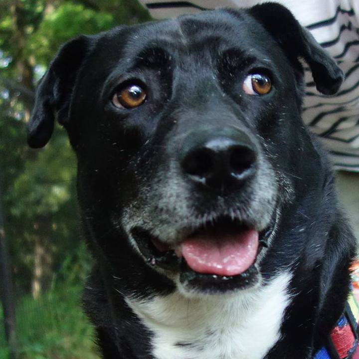 6f94da6c 7319 4d56 a447 ce8735ba07db 1683246589050