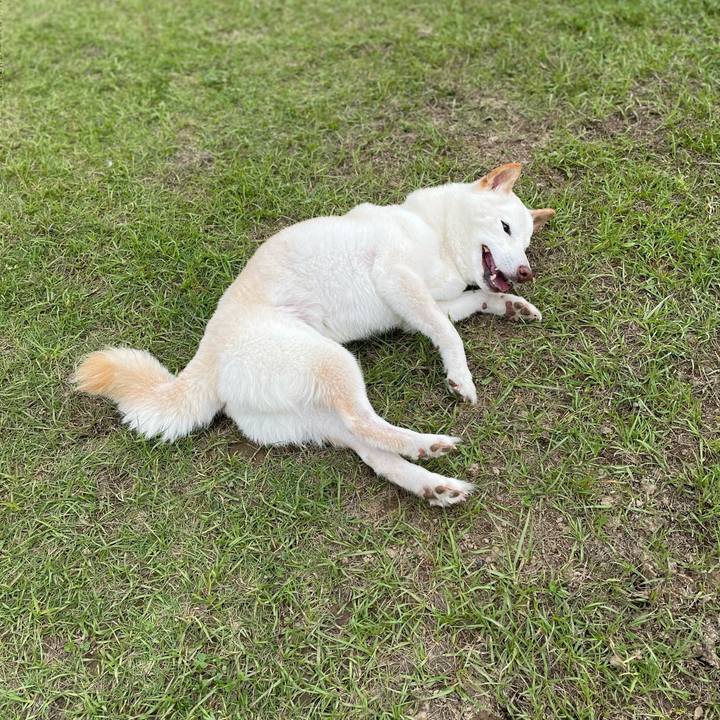 6f950f40 2b46 4797 9dad db61b67f39bc 1652705540892