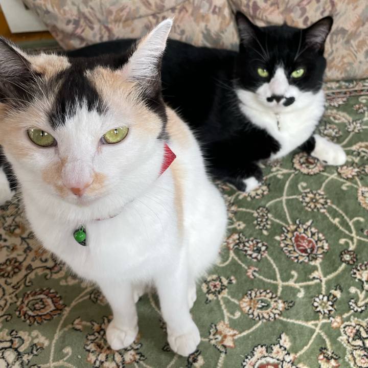 6f953358 0dc6 4602 a9fd 30ac9588f0f6 1724549543209