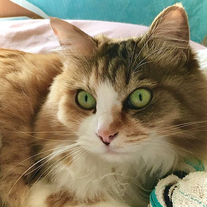 6f9542b9 51bd 45f4 8018 e6df9caf1d11 1621464488905