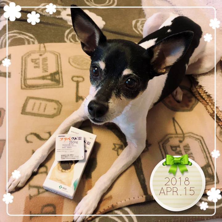 6f95480e 85bc 4d8b a62a 18940c50c843 1523783561935