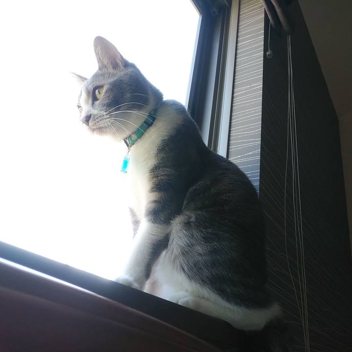 6f955b9e d4ed 4856 a114 6c2740d1529f 1588806676428