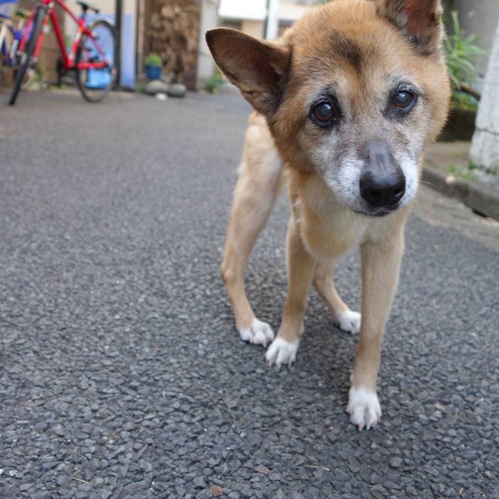 6f956c33 a45d 457b adeb be82a863892d 1561587082463