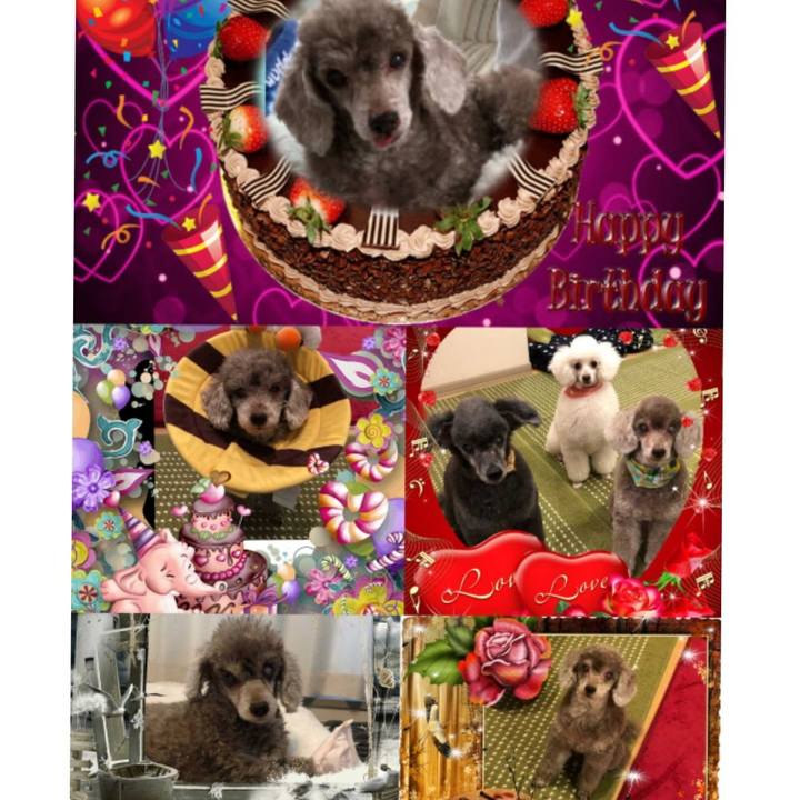 6f959200 5bd6 45f5 9842 10426242eb89 1555855355419