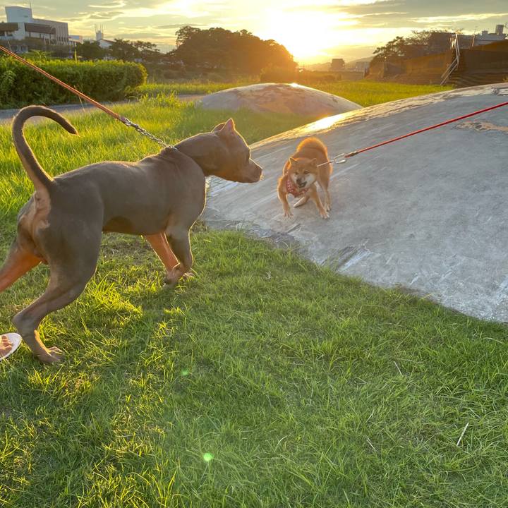 6f95b11b 5fd5 4696 a2eb 42b1aa6b0c1f 1663933023825