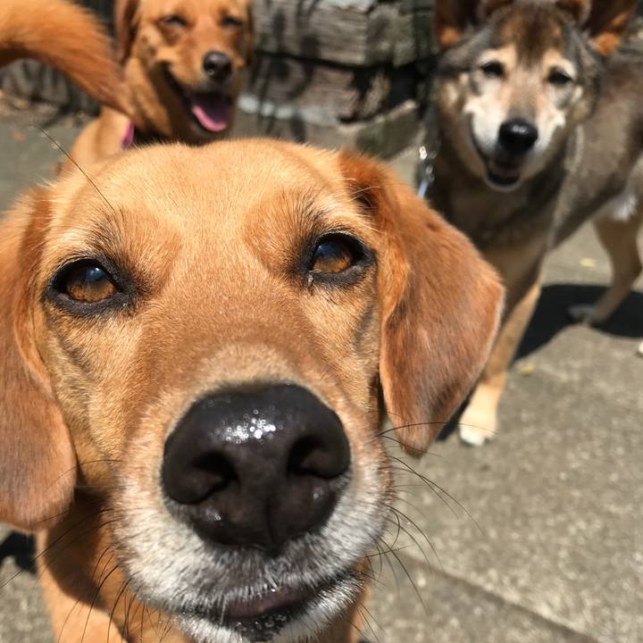 6f95b778 9b6d 4e6e 900f 485f19663210 1529575875094