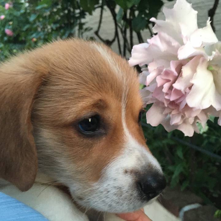 6f95cbe6 bf3e 467a 963a 0bf2506e32f6 1589382014075