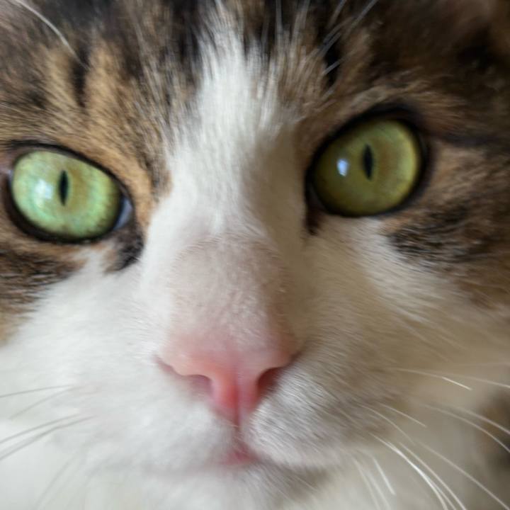 6f95d248 d8b4 4162 ac09 eb3d0d4c8680 1773011985701