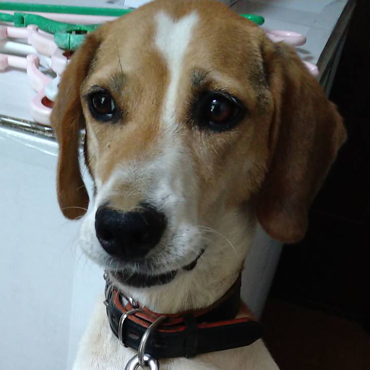 6f95ea7b 78e4 4e1b b42a 161d3cf05a3c 1659242553442