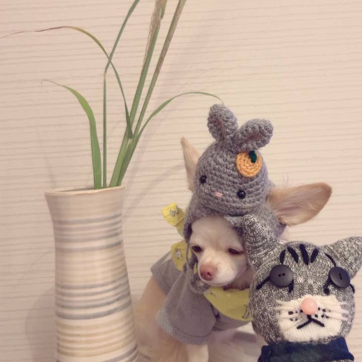 6f95ed4e 3f71 44bc 9a4f 0e7d69a870f3 1695990725080