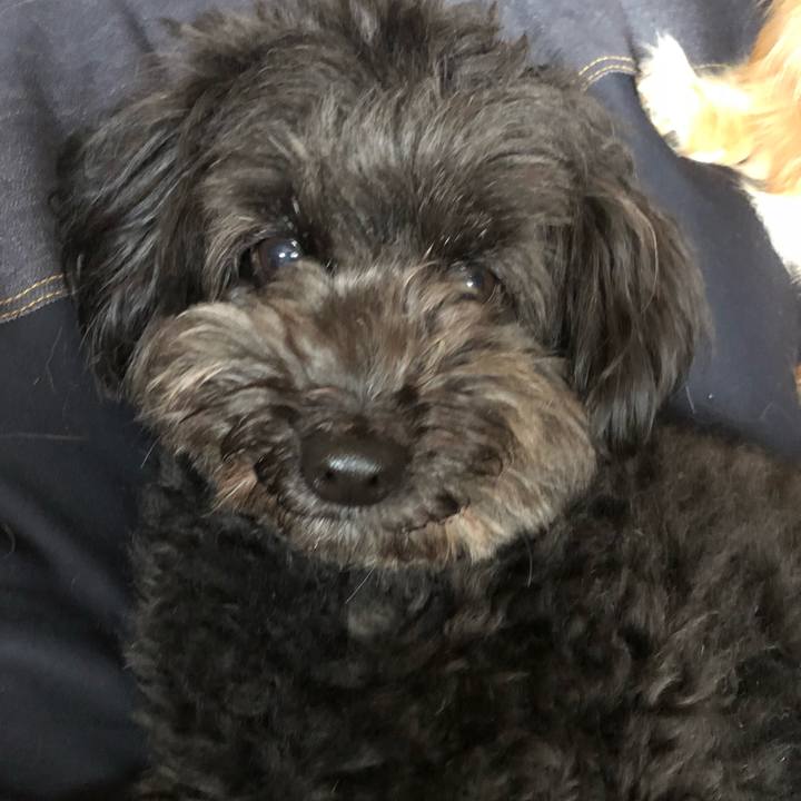 6f96084b 3a6e 4c7c 906b 1aa99dbf9e95 1525903308841