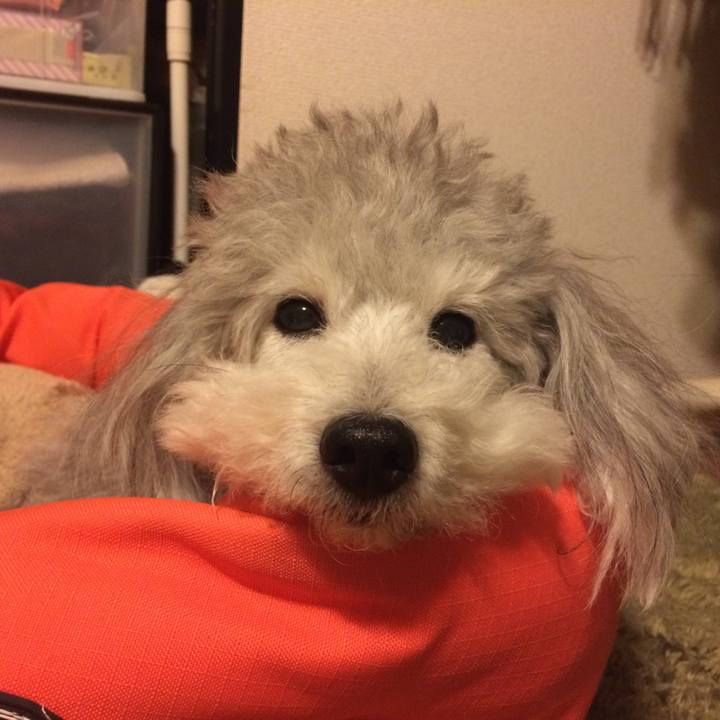 6f962fdf 027e 4b81 991d 674269d59006 1518476505608