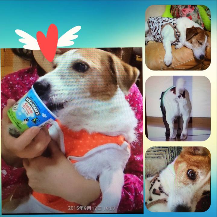 6f964787 e65c 45f6 bd75 29cc130336f1 1649079932338