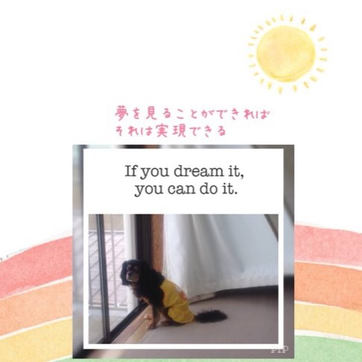 6f967125 cfba 4f4c a330 acdb5381daf0 1510216473348