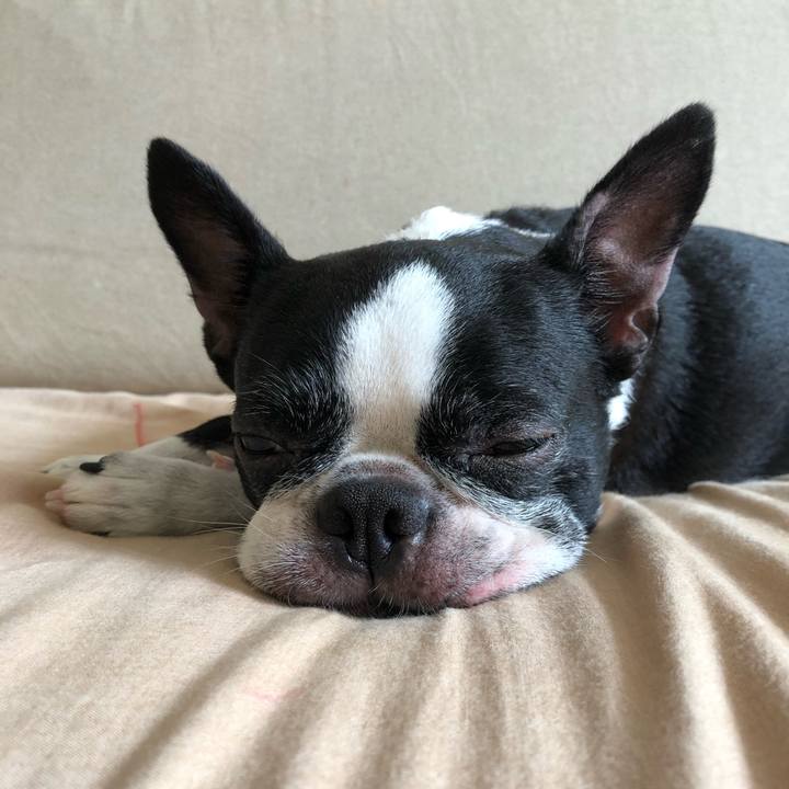 6f969893 8f93 413c b3e0 dd50736b1092 1663310299857