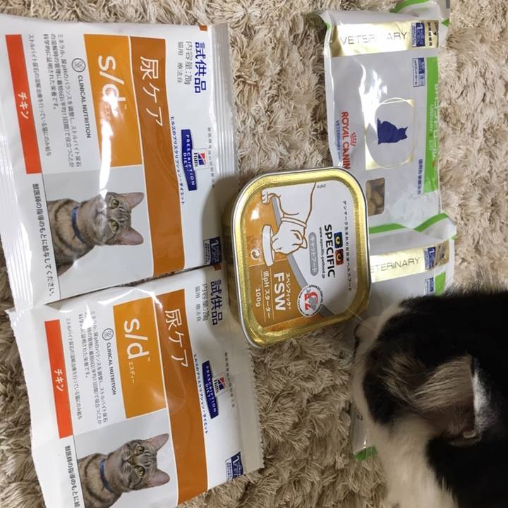 6f96bf8a ac85 46c6 ab38 436350196115 1558501627307