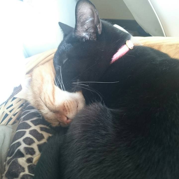 6f96e04e fdb1 4e99 9c27 c6db9b06c509 1518855072070