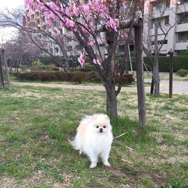 6f96e56e 2519 4106 aae0 11fab6a7854c 1521790640604