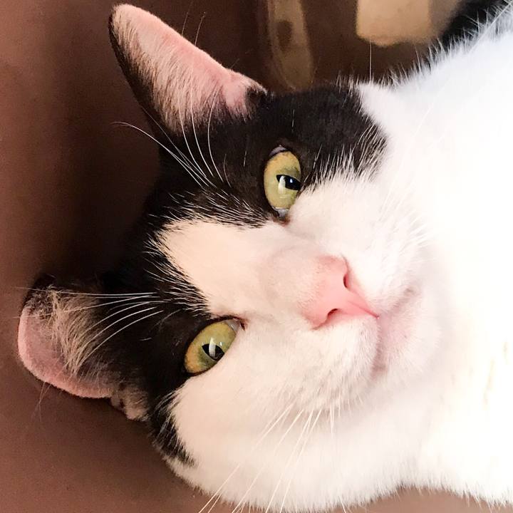 6f971d17 ae0f 40bb 97a3 01ae5068e7f4 1534213701904