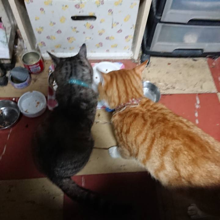 6f9737ec 4f03 4274 b6f8 355f08f64f78 1566849901827