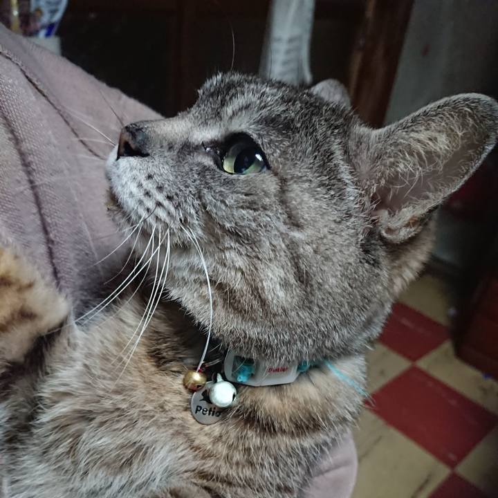 6f975ba4 2e99 4e9c 9213 8251b8c1c3ef 1559076052091