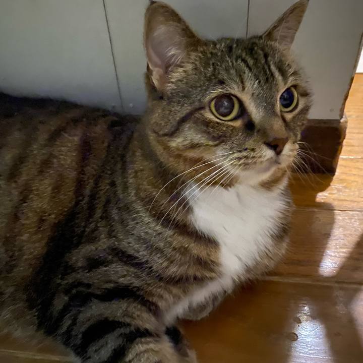 6f97663a ce9c 40c2 afbd 572d7ec0ec49 1658785336077