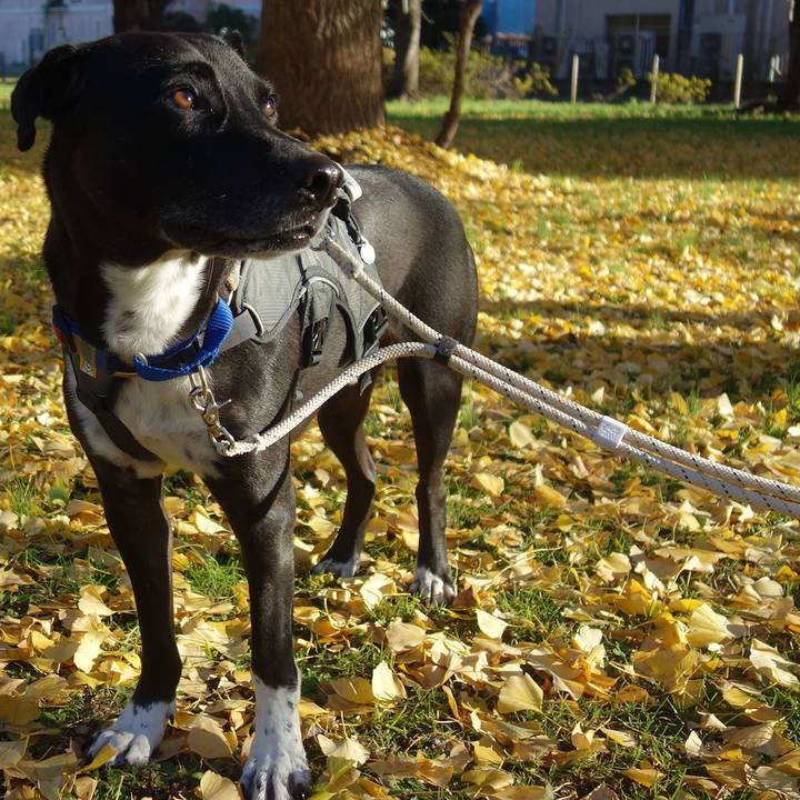 6f976a1a 5409 4bc2 aa73 ccb48a36d550 1637802093717