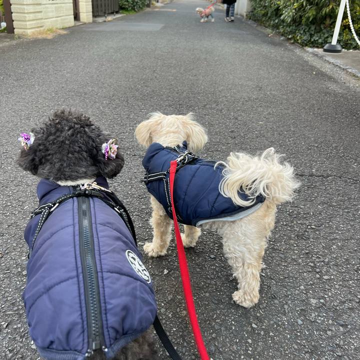 6f97a699 5e0c 4ff6 8e4c 79d1bc93c427 1768812554902