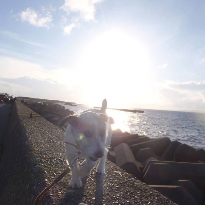 6f97b5be c393 4635 bbd4 c0482eb06553 1539866660455