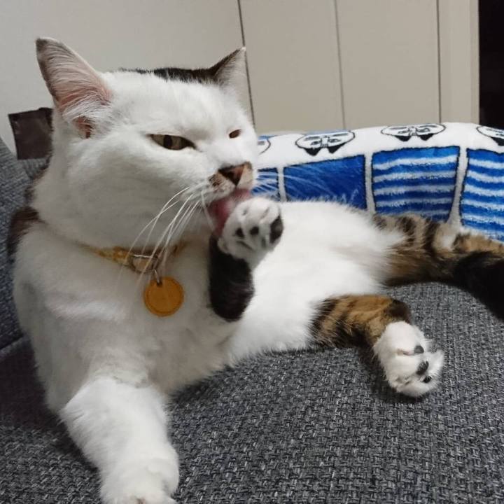 6f97e751 6ec7 4282 9336 aed3f66658d9 1570678296079