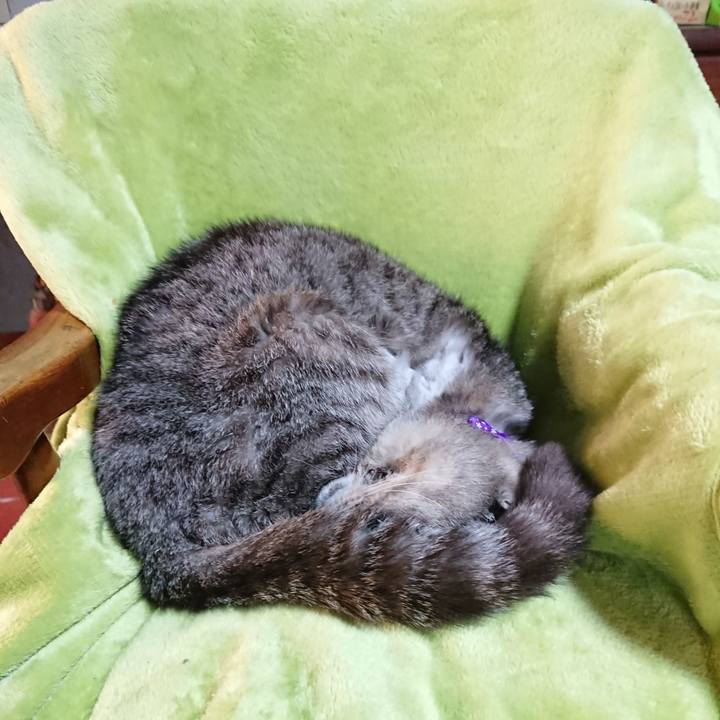 6f97f7b9 aa7d 4fa9 a39a e8e136221195 1590961137951