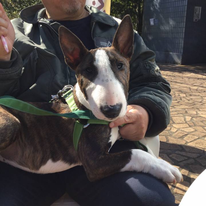 6f981e9a 99d4 4684 8857 9797437bedbe 1552666282523