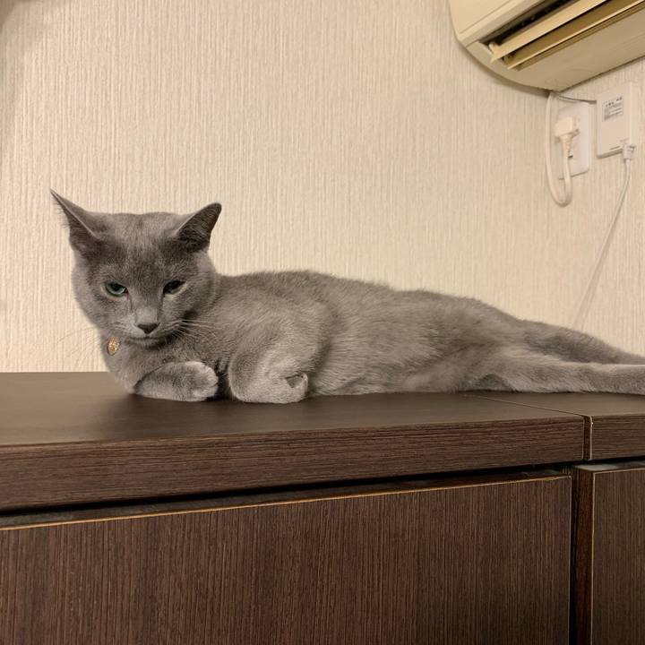 6f983ccf cea0 4815 b224 dd6a2113a50e 1576182292273