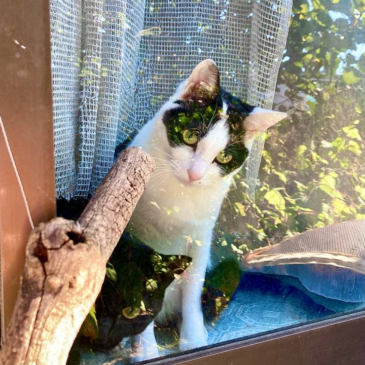 6f988214 6562 4b16 a2af 1b7748a6677b 1666918976372