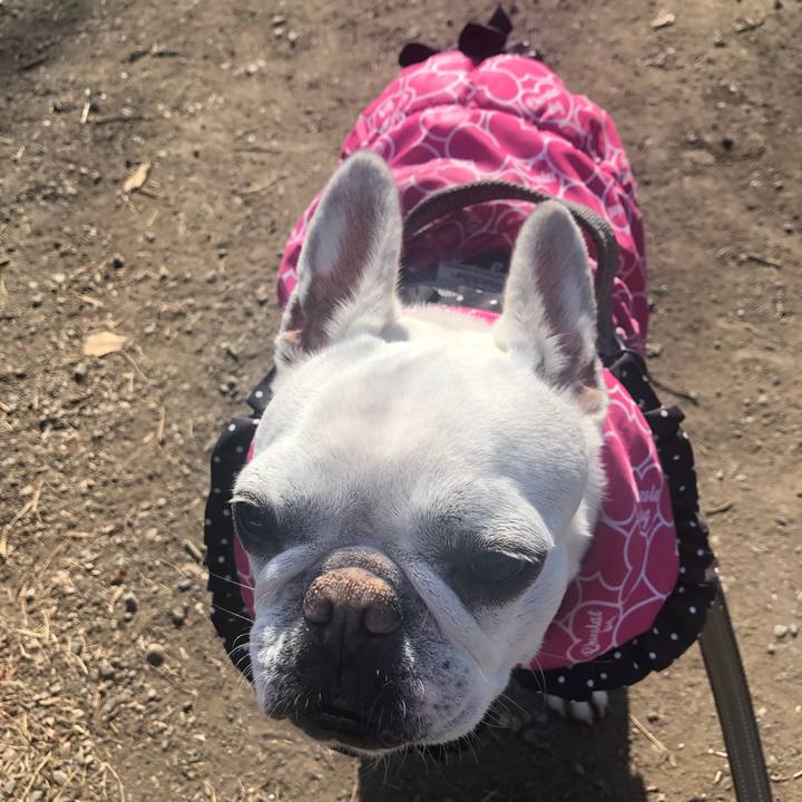 6f98c998 26cf 46eb 8a21 25abd4b62b0a 1644029711172