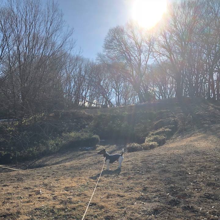 6f98dd03 664d 4975 9eeb 6df5fdb43ce1 1518563500476