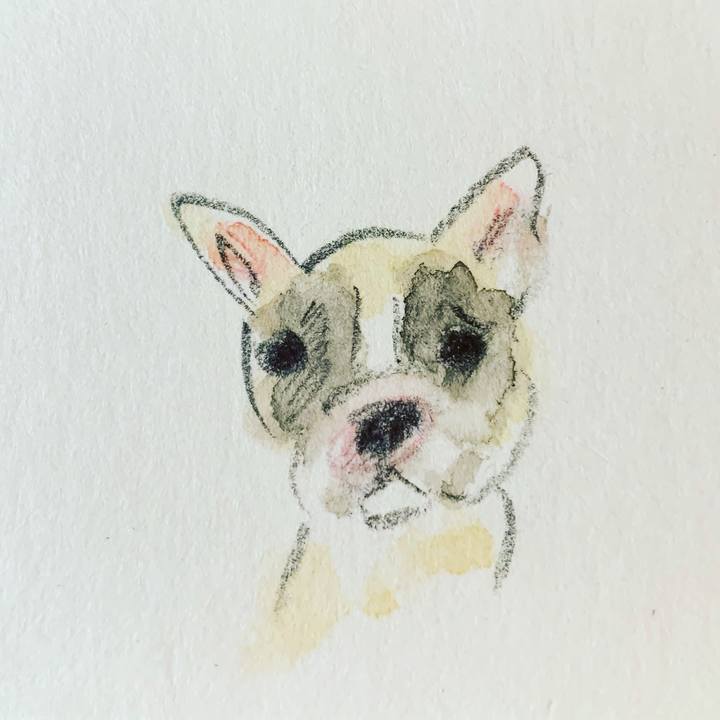 6f98e728 e68e 4cda b610 cd72e06434fe 1635937266910