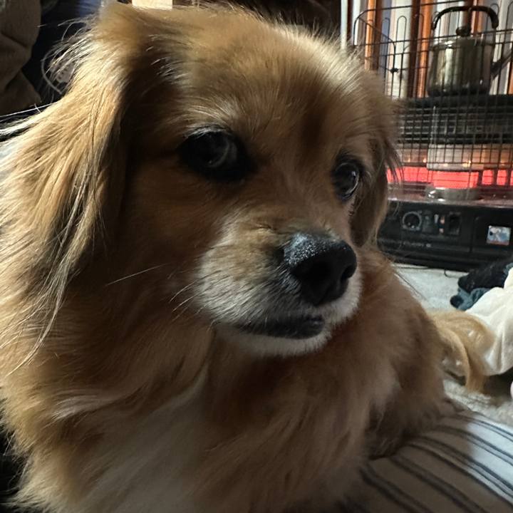 6f99703c 9029 431d 812f 71c29a7be9c8 1710191800638