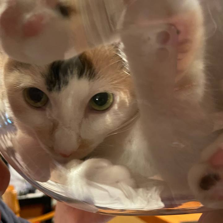 6f997350 bbde 43b8 b5e2 45f9c6313589 1721829715590