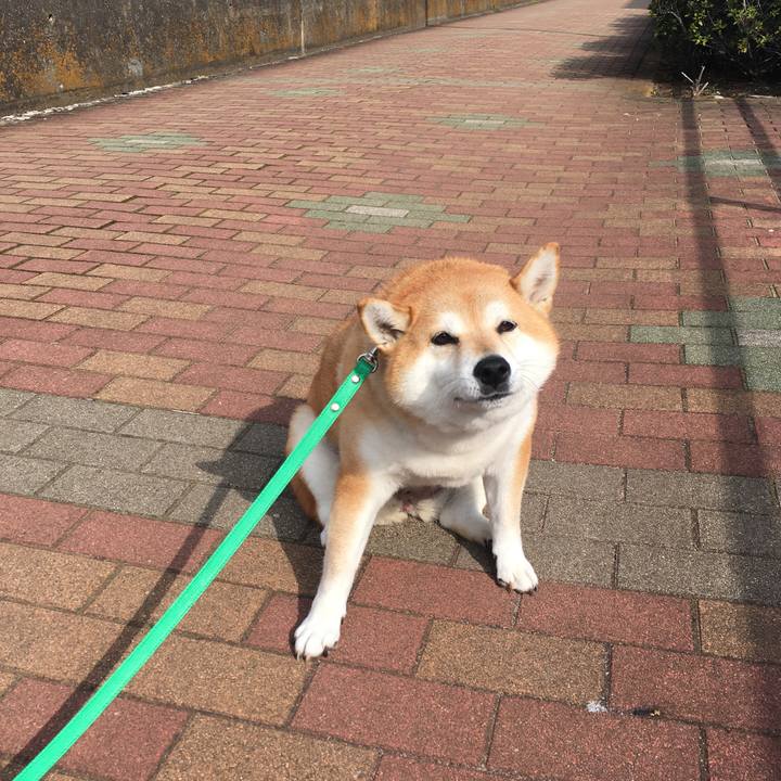 6f99accc 5355 473e a994 c9164e5d994b 1604809476936