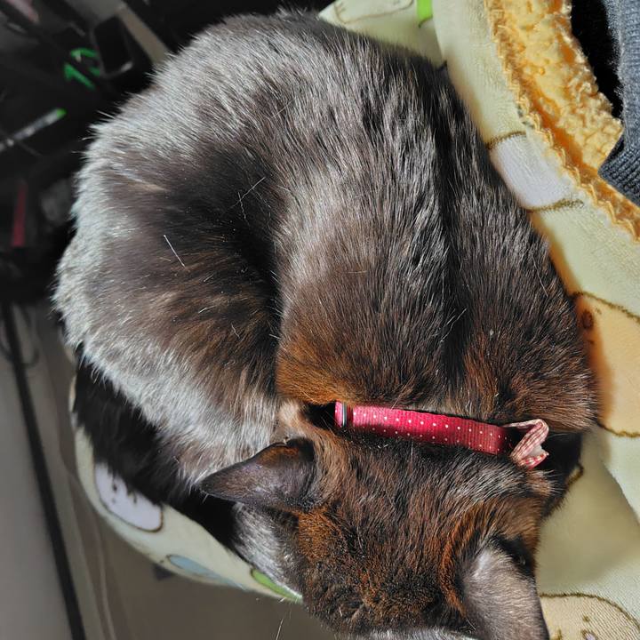 6f99ea1c b60e 4bd3 8e04 ce6f6d828bf7 1740731162398