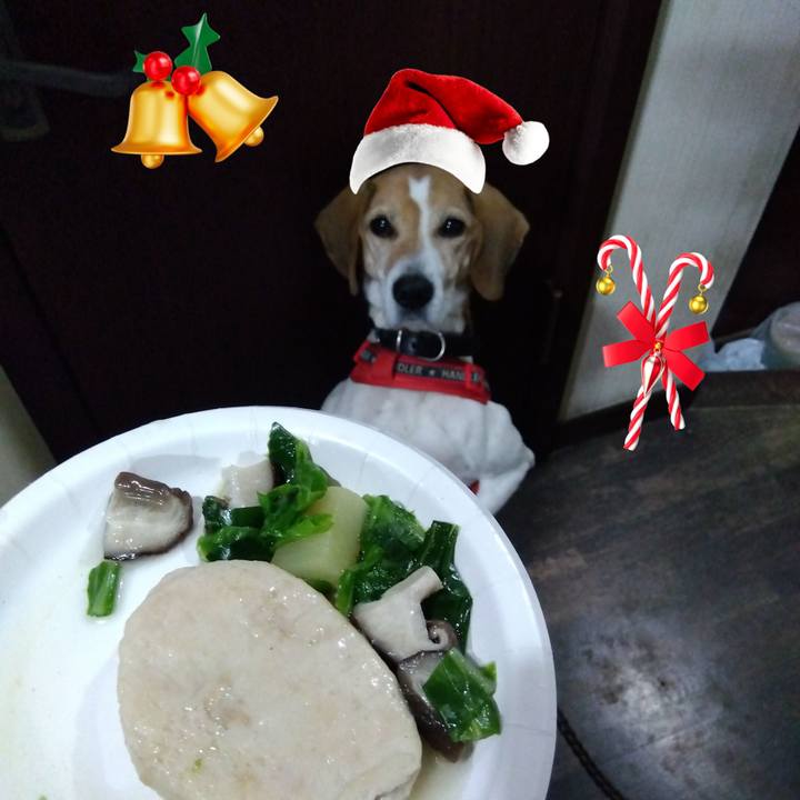 6f9a8e5e cd73 4827 bf87 a8c62cc6b32d 1703505412454