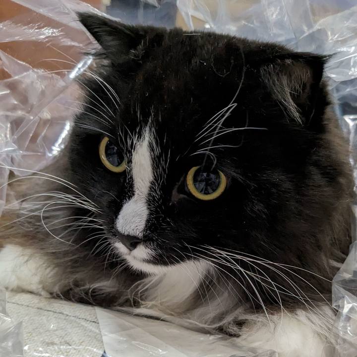 6f9a9301 e2d4 4386 ac77 f6dc0fd14327 1696853808151