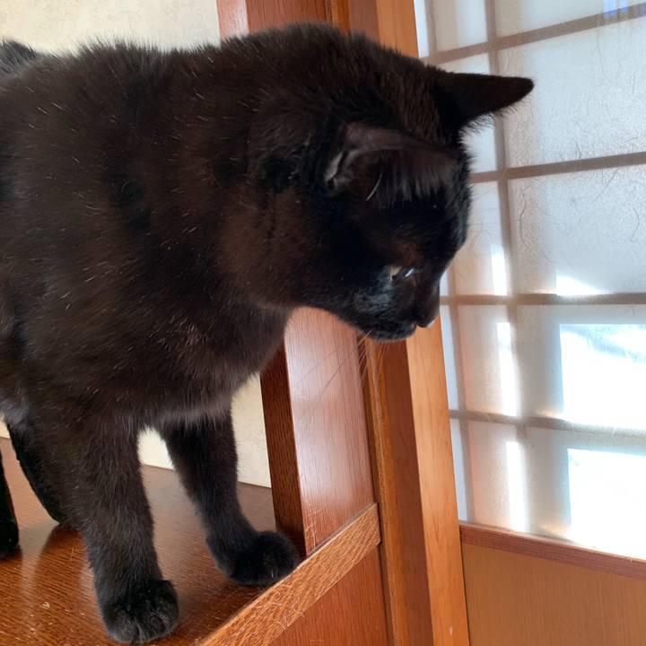 6f9ae1c9 0dc3 47a0 81bc e917e656fb36 1555551211965