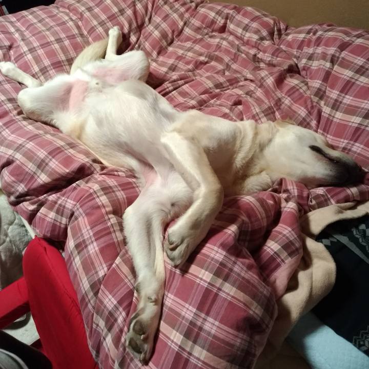 6f9af209 a90f 4efd 84b4 1a0524a64ac9 1612743777768