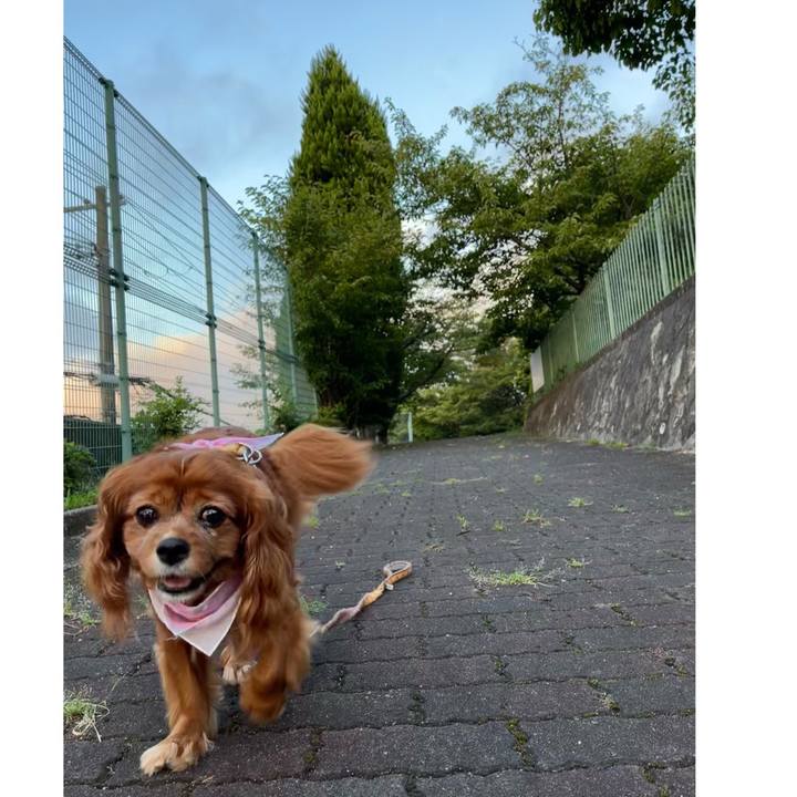 6f9af9b4 f32a 4907 8d13 97c9b3d13527 1693004382327